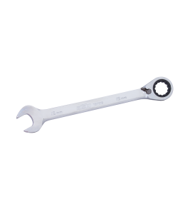 Spanner Gear Reversible Roe Metric 10Mm